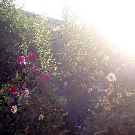 Friendly B&B Gyumri Bagian luar foto